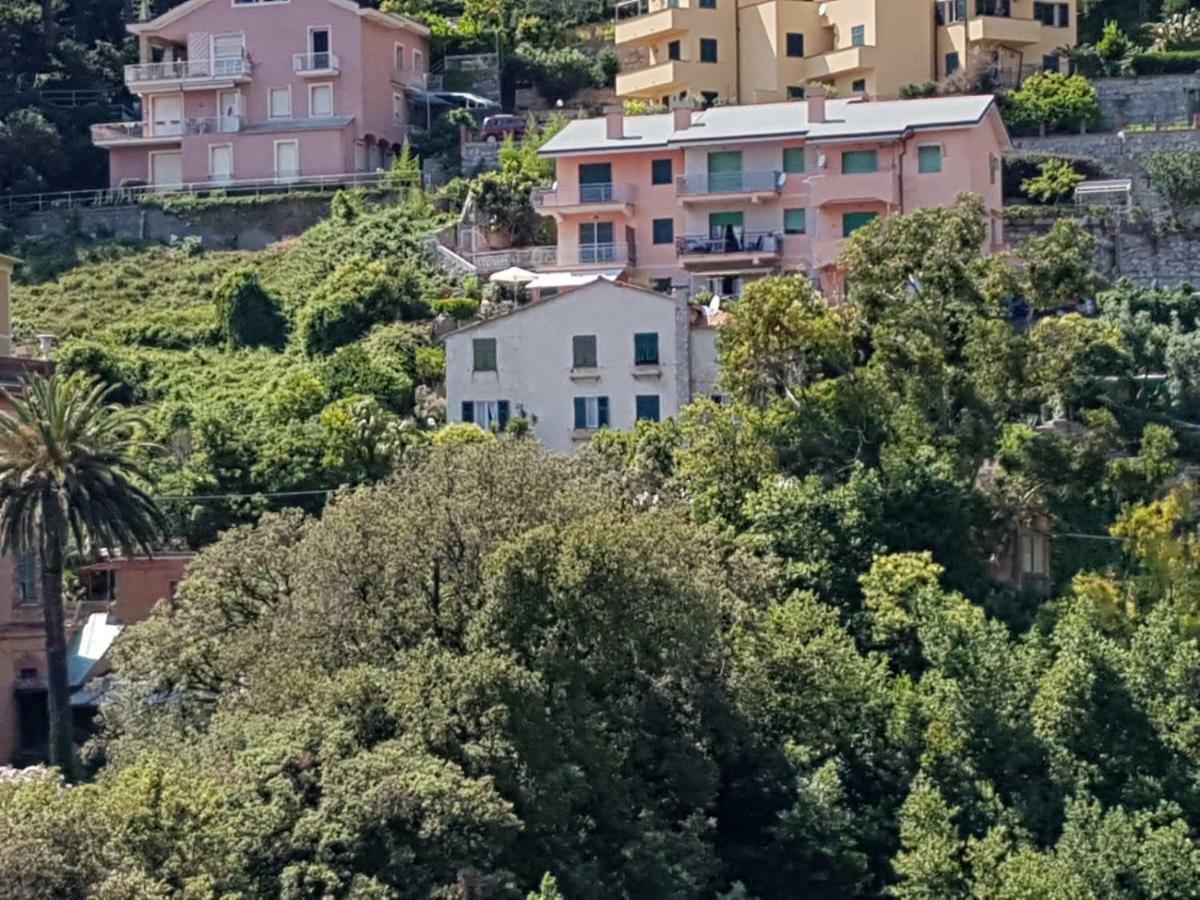 Apartament Ai Pastelli Zoagli Zewnętrze zdjęcie